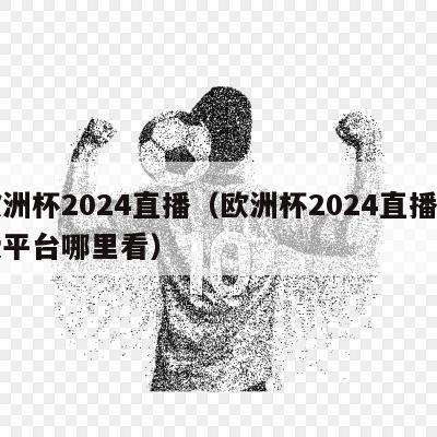 欧洲杯2024直播（欧洲杯2024直播免费平台哪里看）